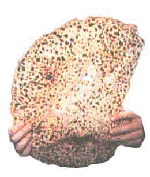 Matzah l2