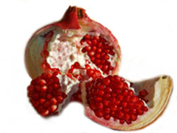 Pomegranate l